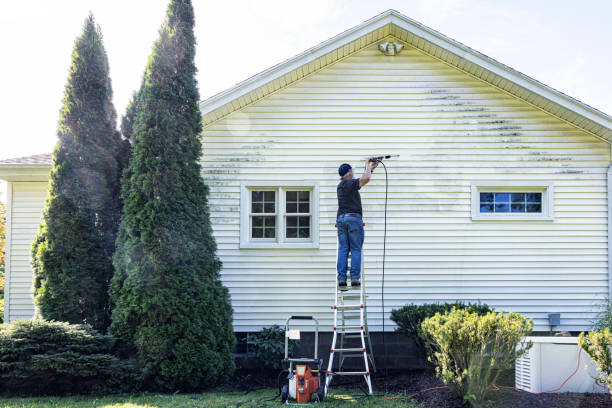 Best Driveway Pressure Washing  in Laurel Springs, NJ